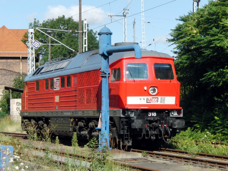 MEG 318 - 132 690-9.jpg